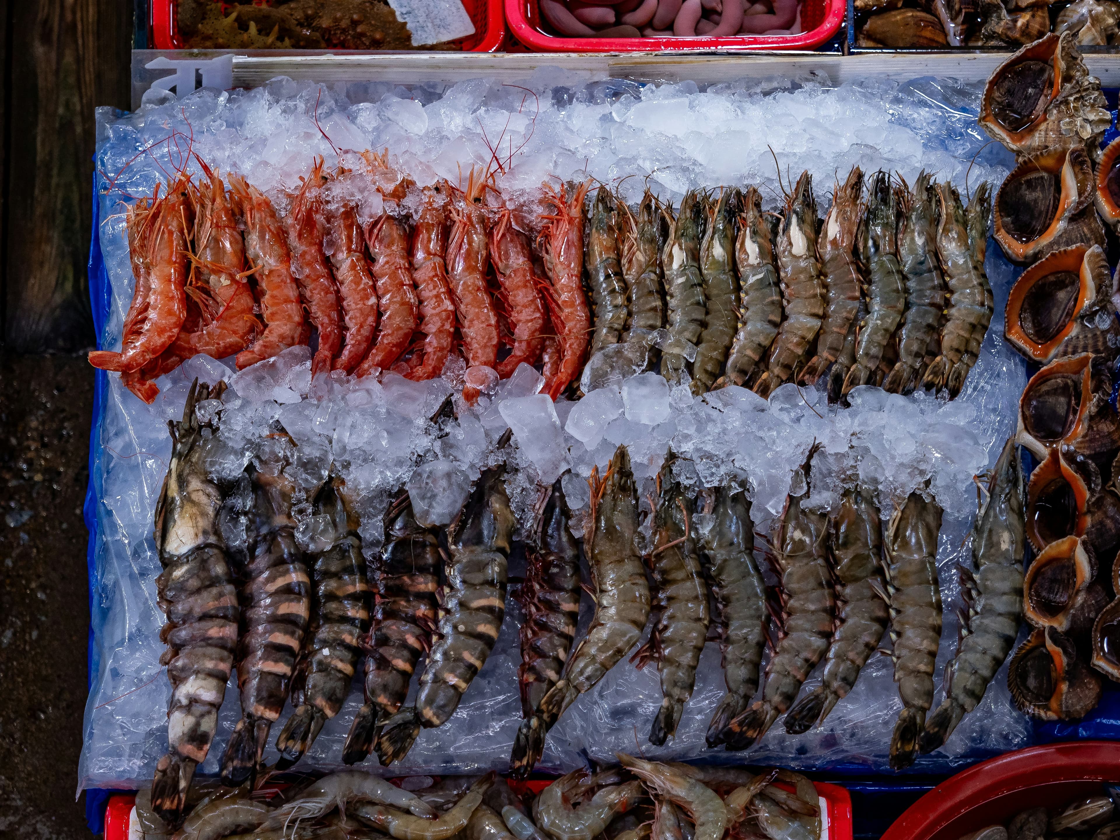  Seafood in the Algarve, an Oceanic Feast