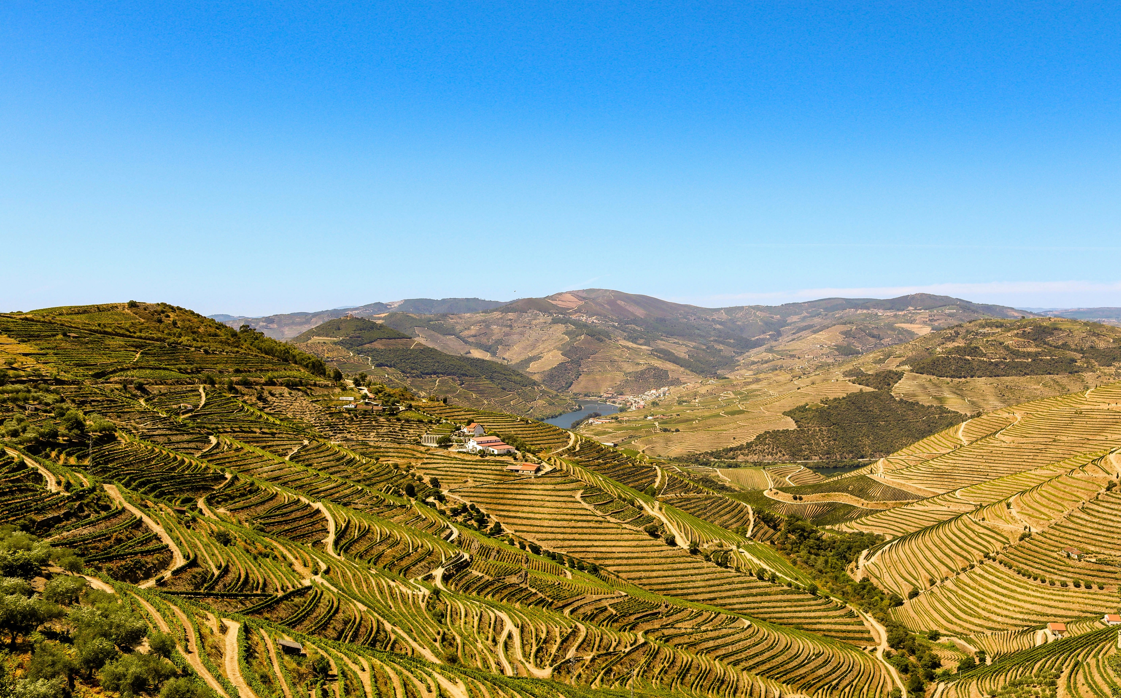 Douro Valley, UNESCO-listed Landscapes