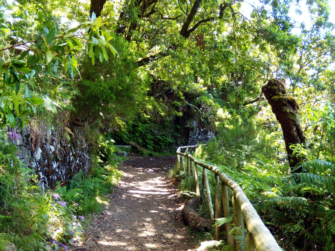 Madeira island, the 25 Fontes hike