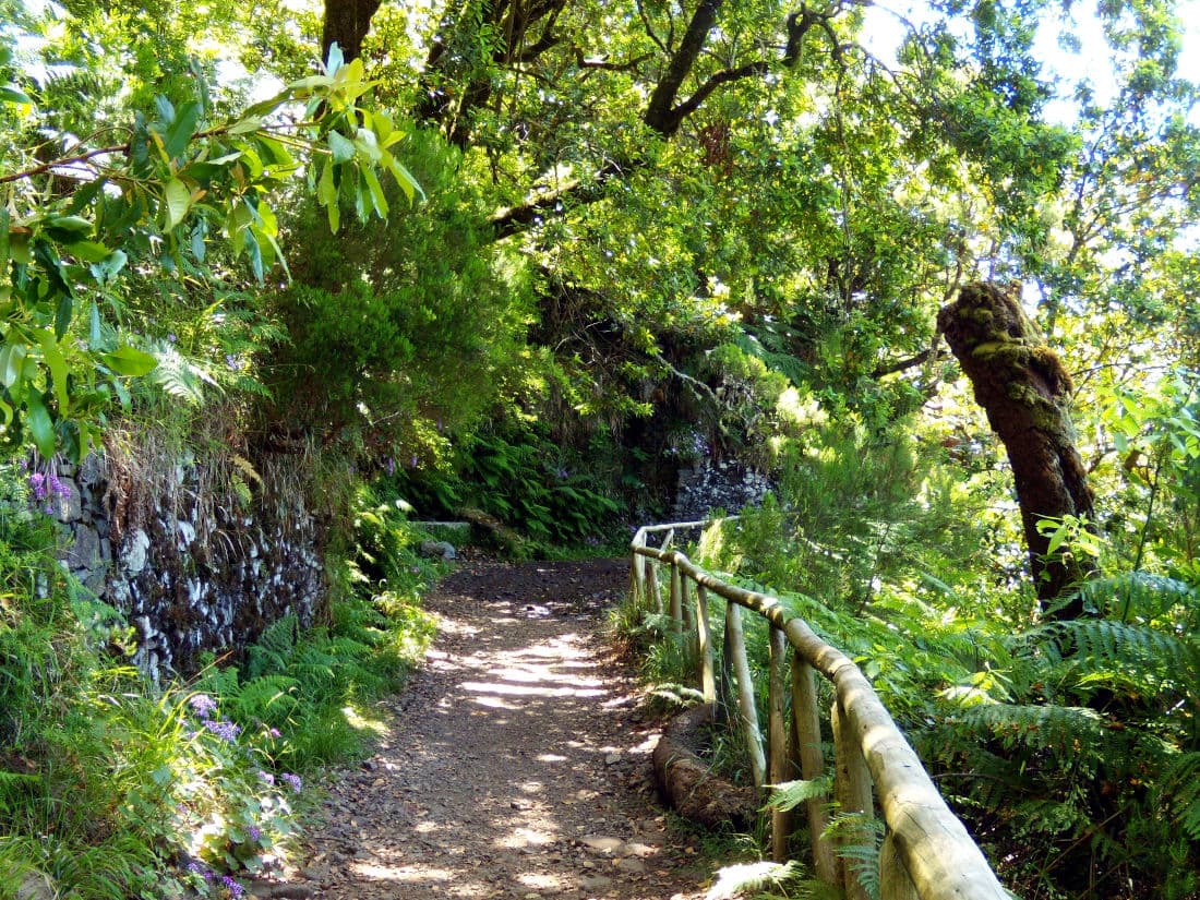 Madeira island, the 25 Fontes hike