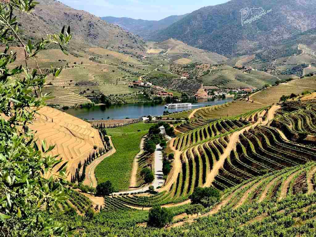 Douro International Natural Park, the Wild Frontier
