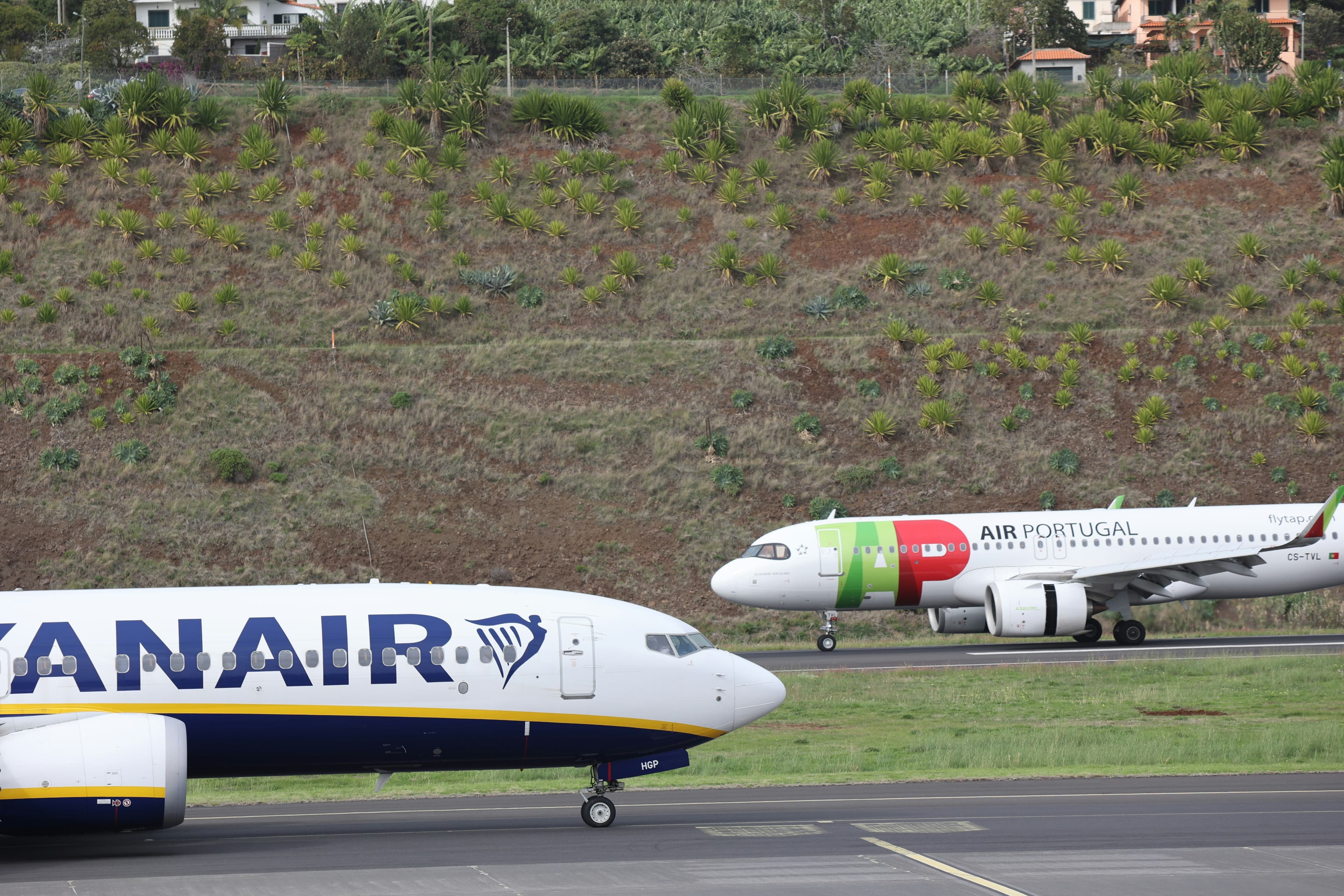 TAP Air Portugal : the national airline between tradition and modernity